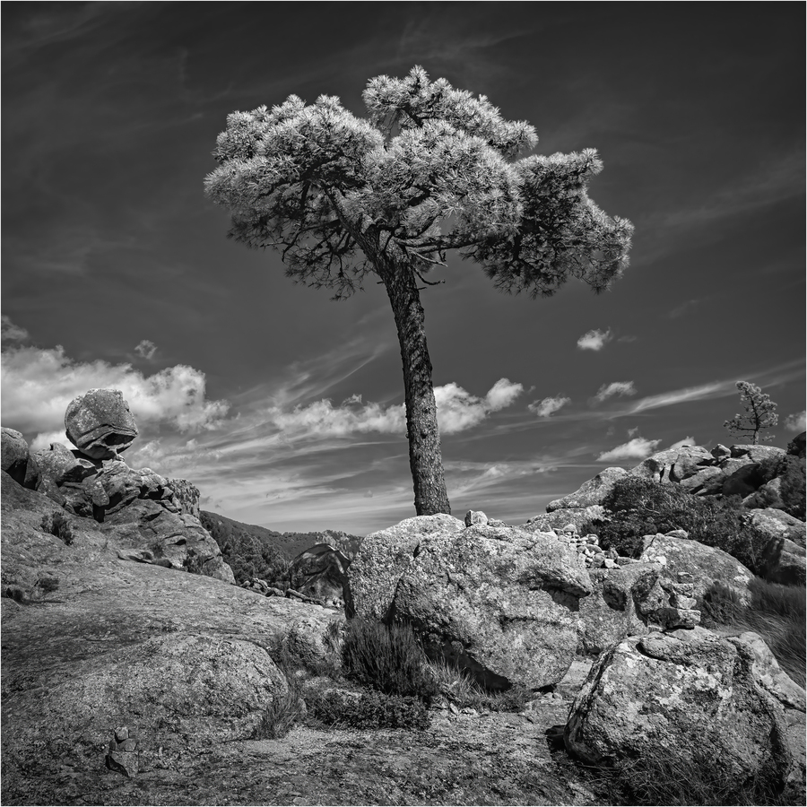 2nd On Stony Ground by Ken Rennie